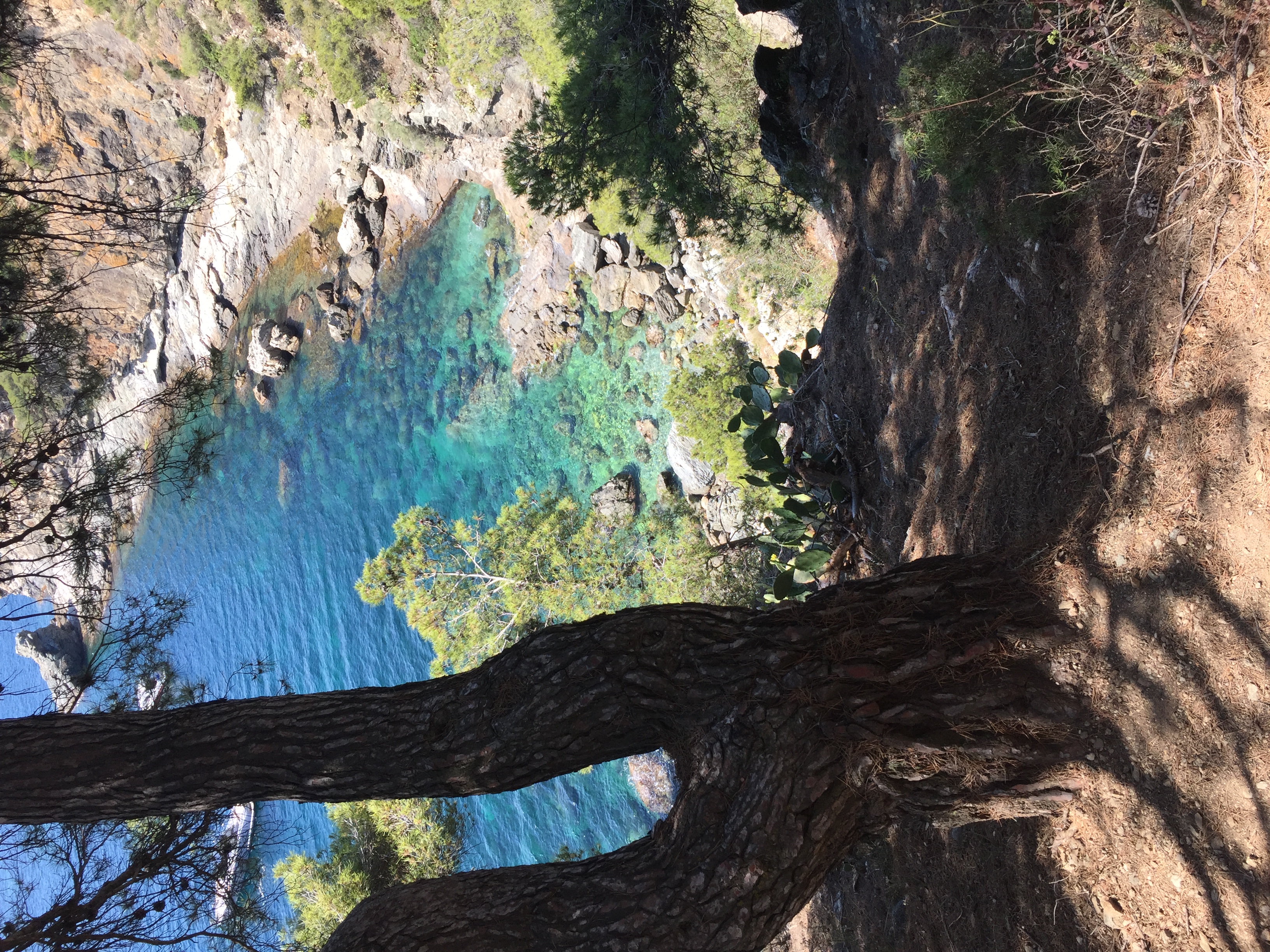 Coastal cove near Roses, Costa Brava