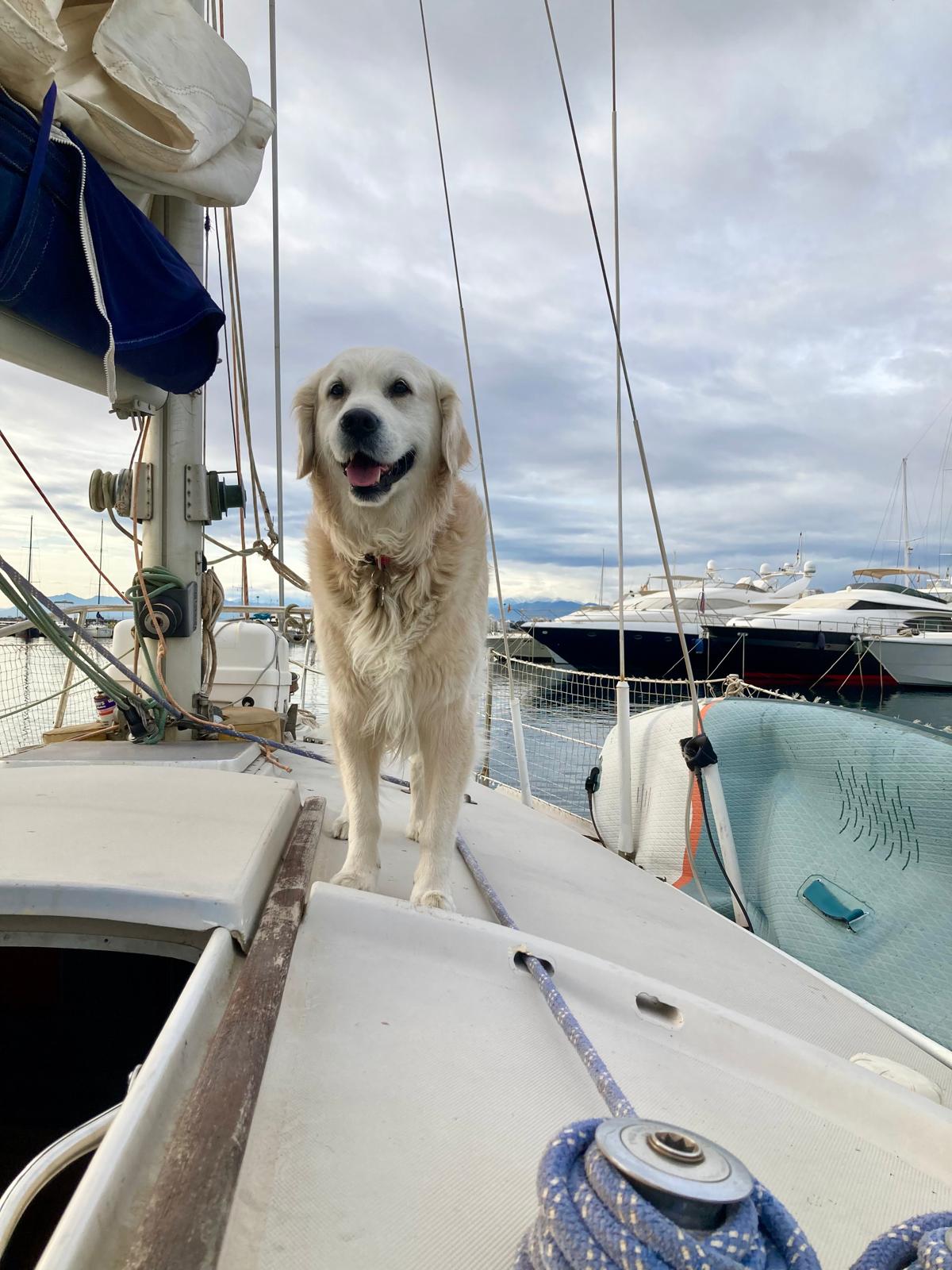 33ft yacht at Roses marina